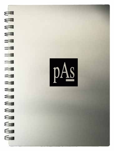 Notes Pas PAS Online Store - Alloy Medium Notebook